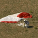 Image for article titled Supersonic Space Jump: Full Coverage